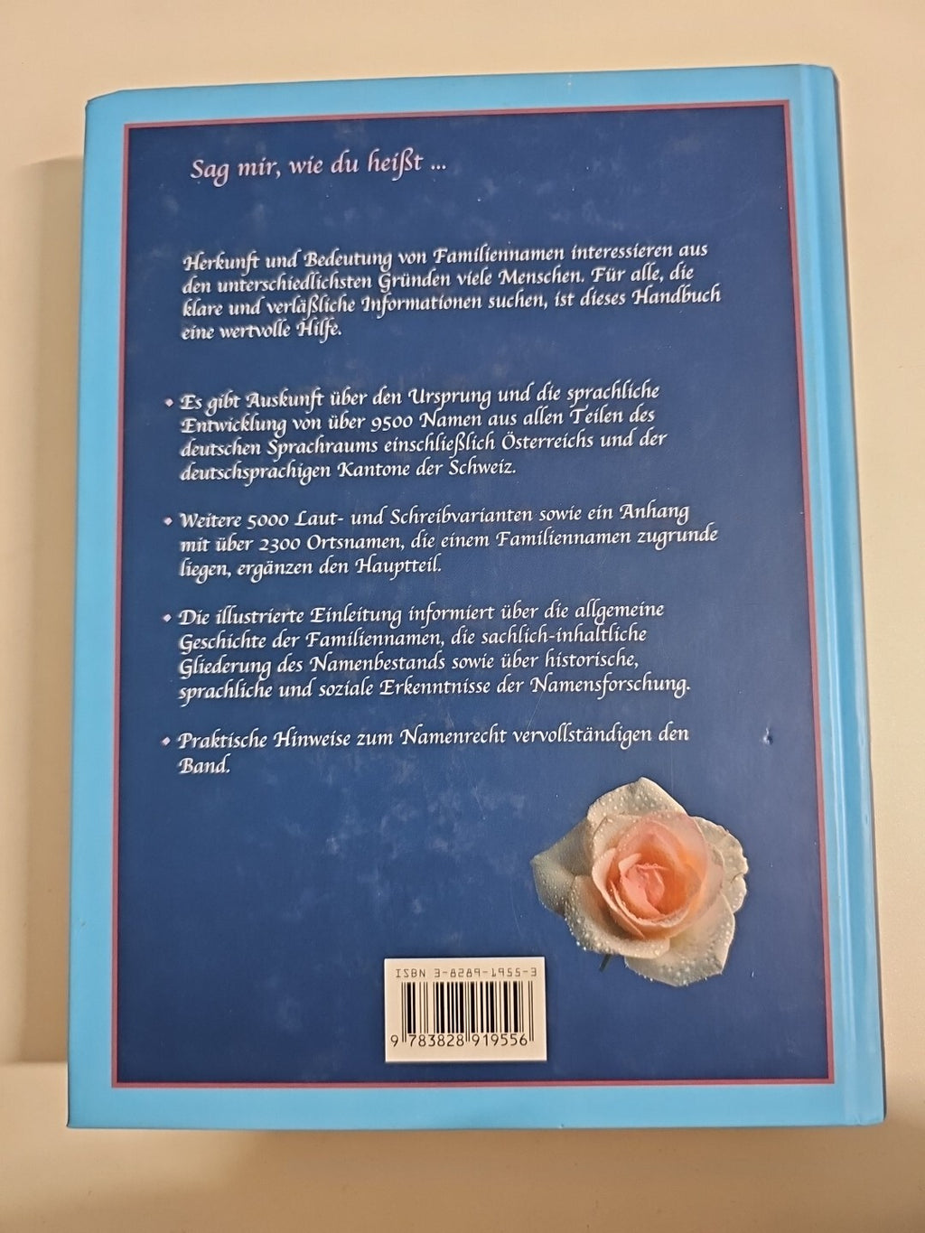 EB822 Das Große Buch Der Familiennamen Gebundene Ausgabe Buch Horst Naumann 1