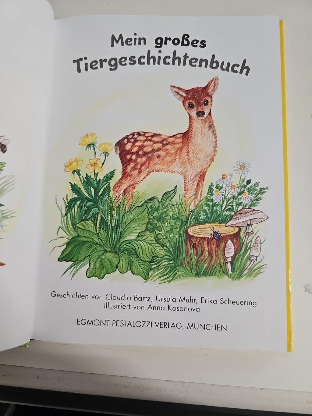EB879 Pestalozzi  Mein großes Tiergeschichtenbuch 125 Seiten1