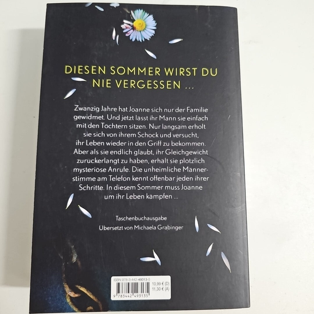 EB1934 Ein mörderischer Sommer von Joy Fielding2