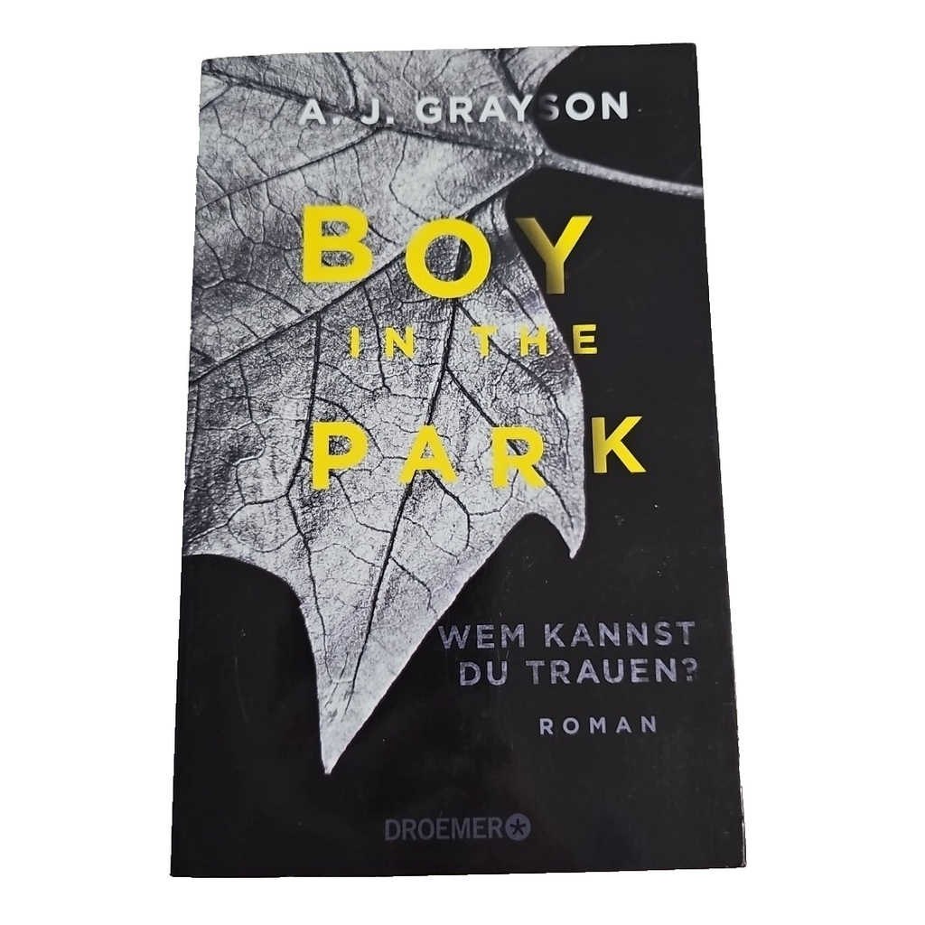 EB3080 Boy in the Park - Wem kannst du trauen? Roman von A.J. Grayson0