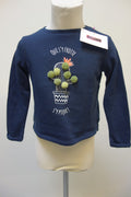 EK3790 Kinder Pullover von vertbaudet, blau, Gr. 1100