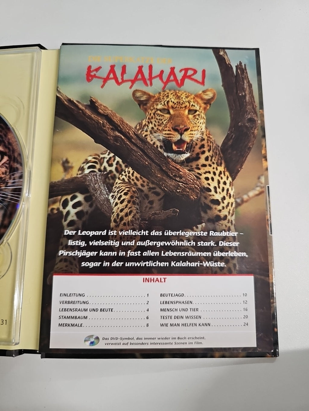 EB1157 DVD & Mini Buch die Superkatze der Kalahari 3