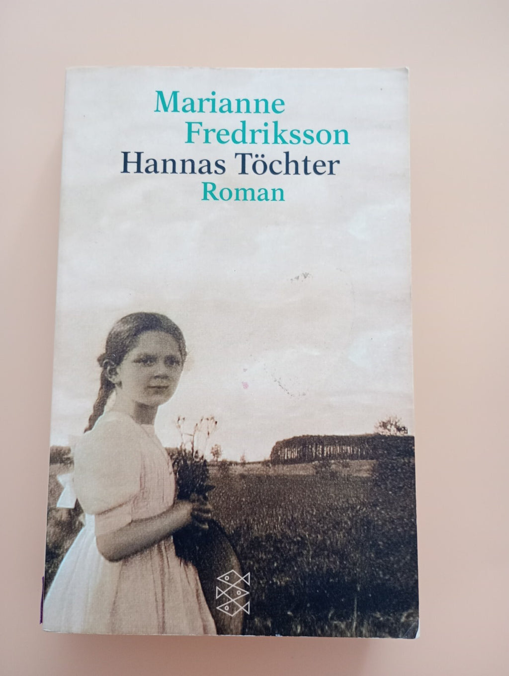 Hannas Töchter : Roman. Aus dem Schwed. von Senta Kapoun, Fischer ;   3130