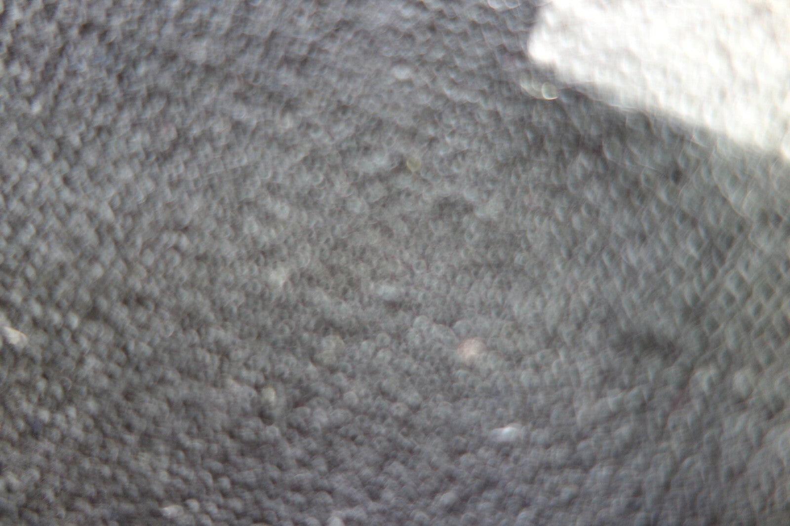 EK1990 dicke Kniestrümpfe von Ellesse, schwarz-Grau3