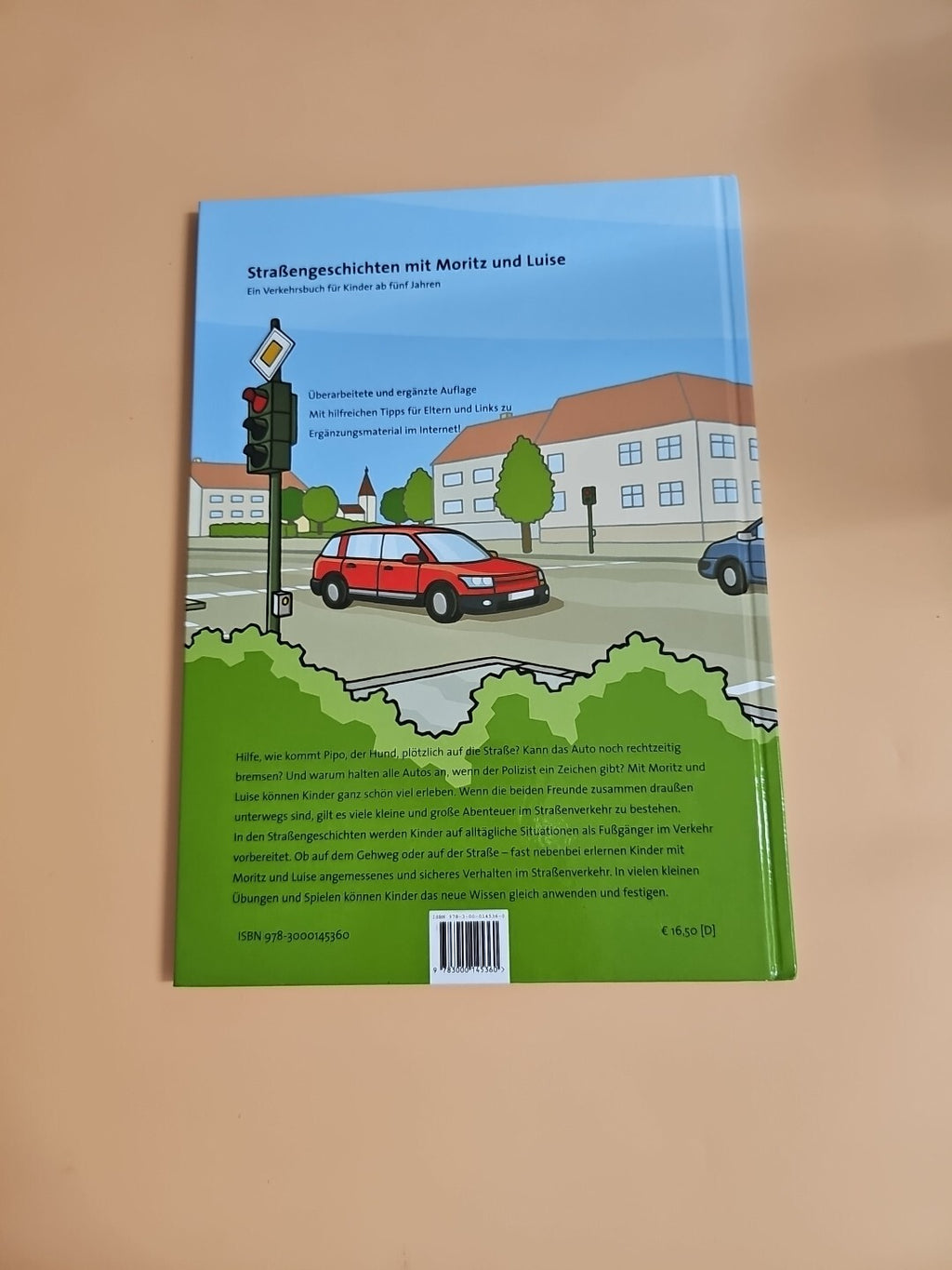 Straßengeschichten mit Moritz und Luise Ein Verkehrsbuch f. von Petrick Nina 1081