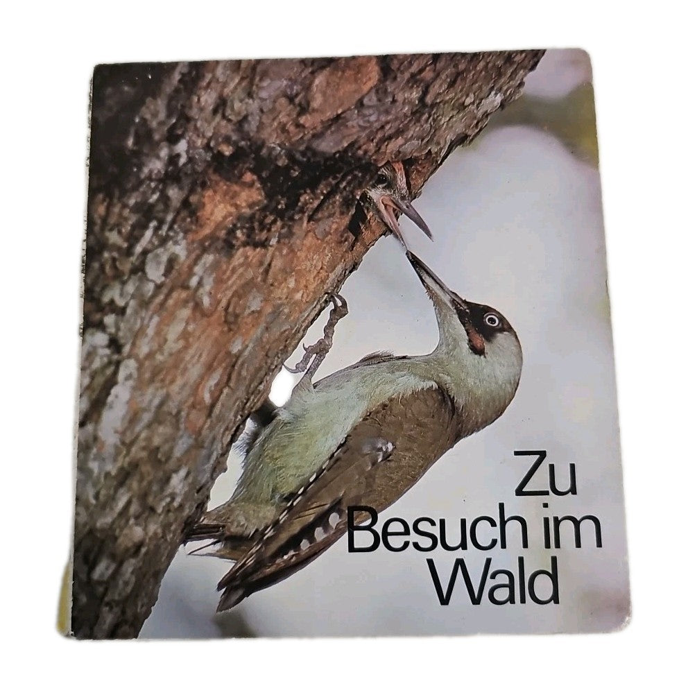 EB3891 Zu Besuch im Wald - Bilderbuch 0