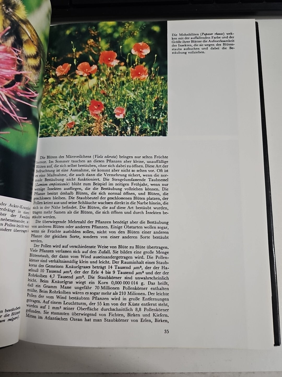 EB1505 Das geheimnisvolle Leben der Pflanzen Natur Buch Jaroslav Pazourek 1