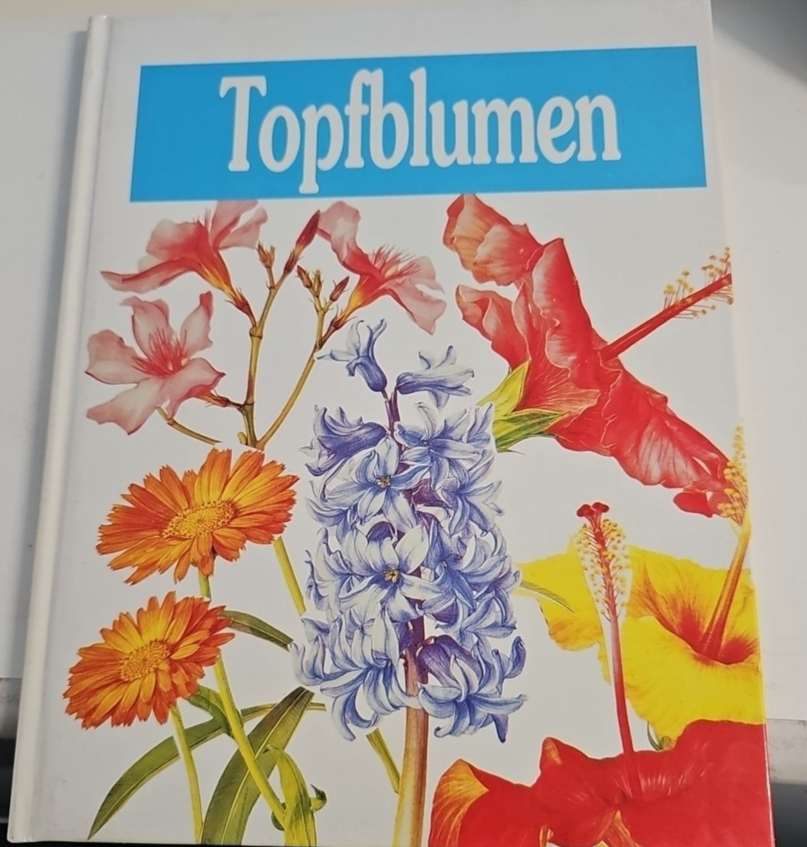 EB2829 Topfblumen Gottwald, D.:0