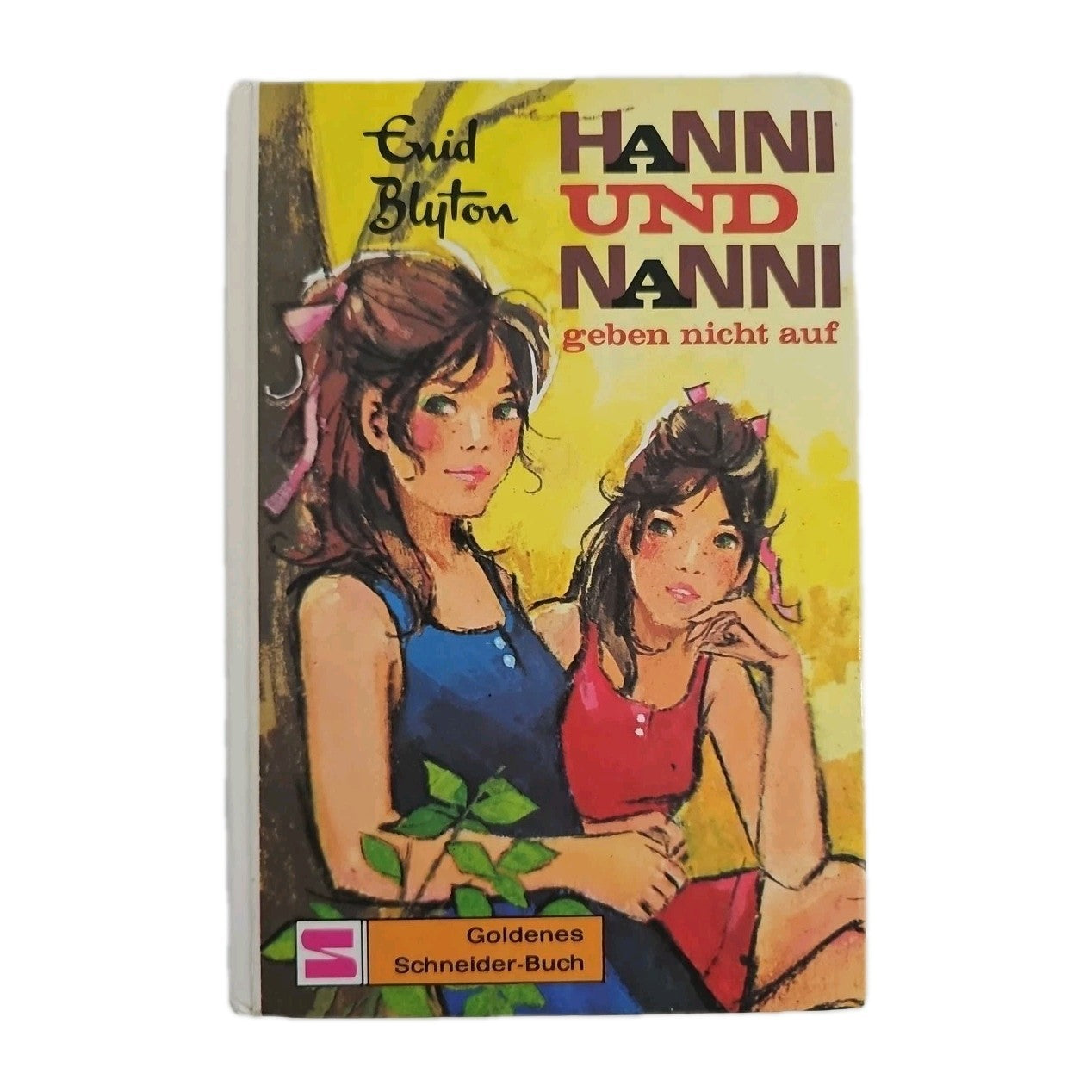EB4181 Hanni und Nanni geben nicht auf von Enid Blyton0
