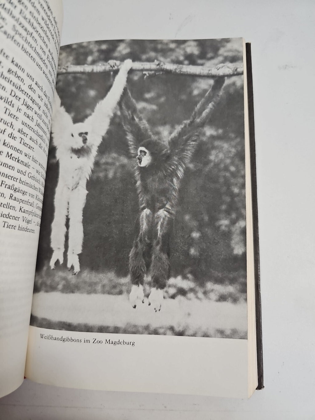 EB1529 Tierwelt von uns Erlebt Manfred Bürger 2