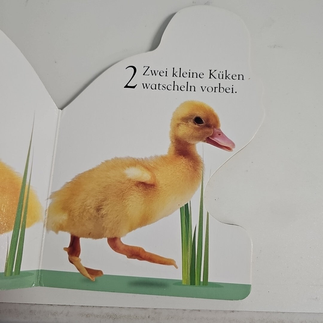 EB1880 Pieps, das Küken | Buch | Zustand sehr gut1