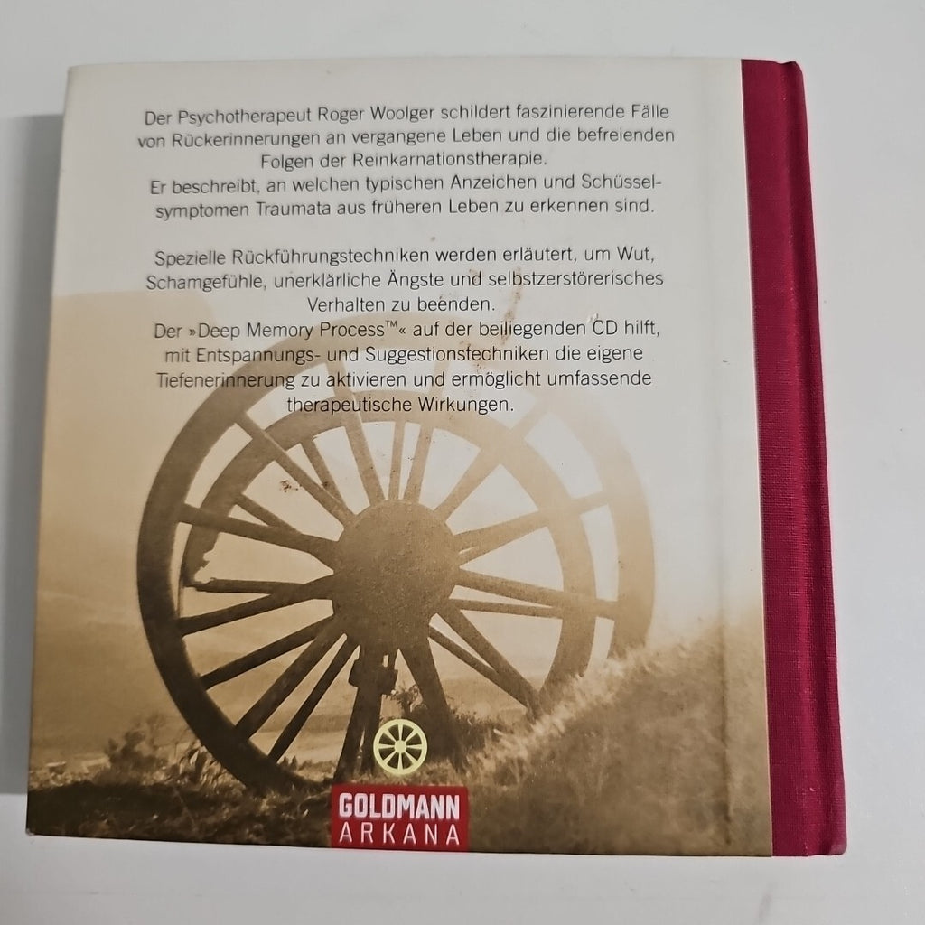 EB1913 Vergangene Leben heilen: Reinkarnationstherapie in der Praxis3