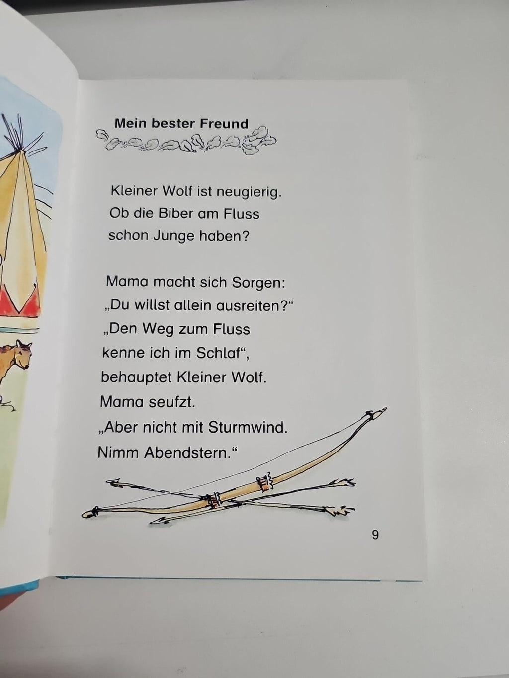 EB1678 Lesepiraten: Pferdegeschichten1