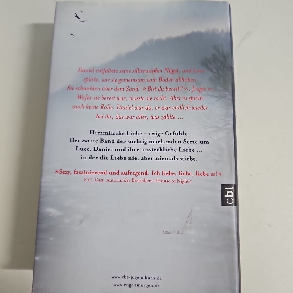 EB1238 Engels Morgen - Lauren Kate     Taschenbuch1