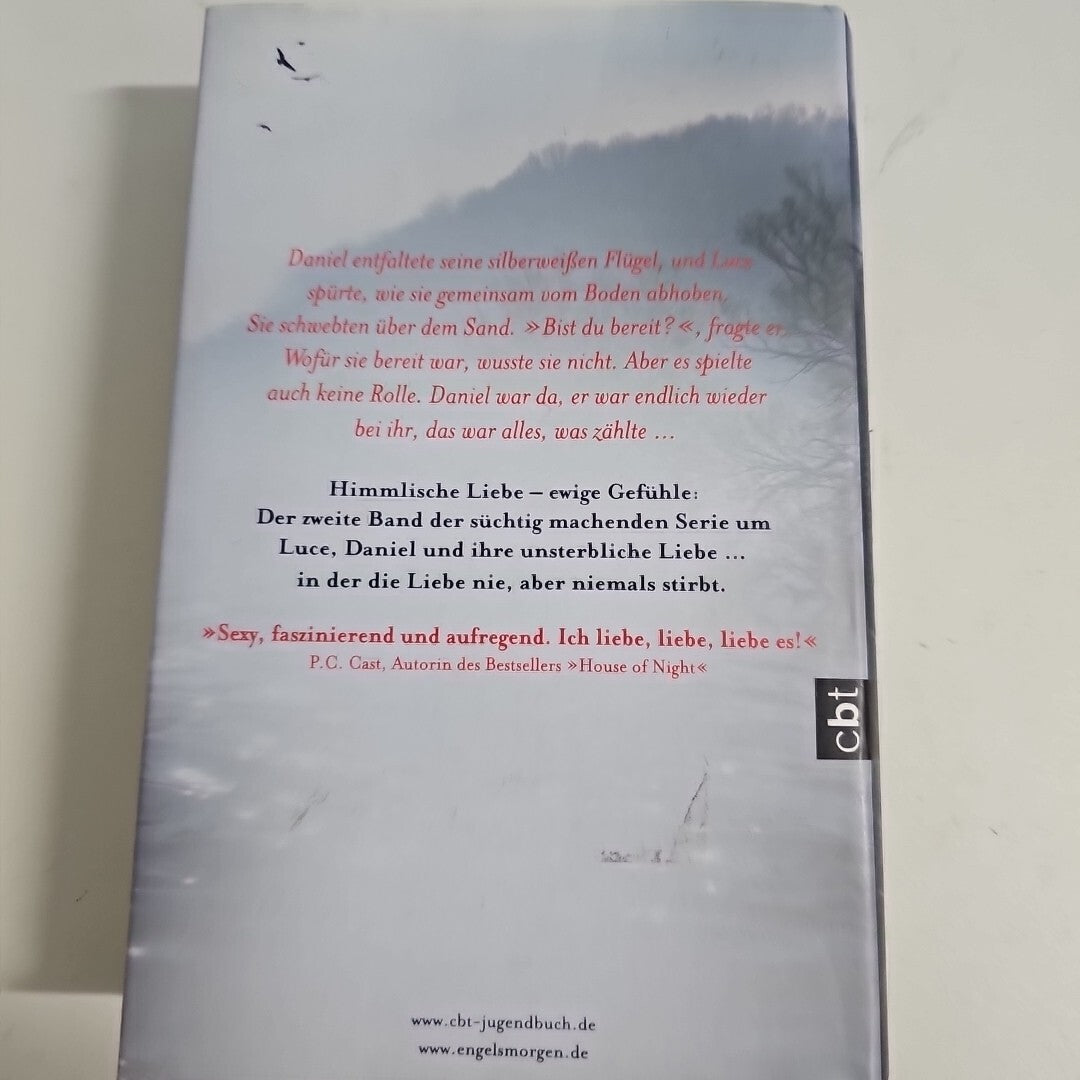 EB1238 Engels Morgen - Lauren Kate     Taschenbuch1