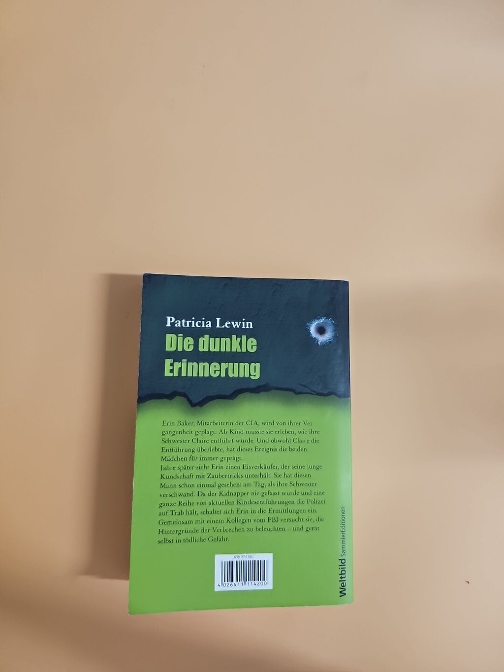 Die dunkle Erinnerung - Patricia Lewin (Lady-Thriller) 1281