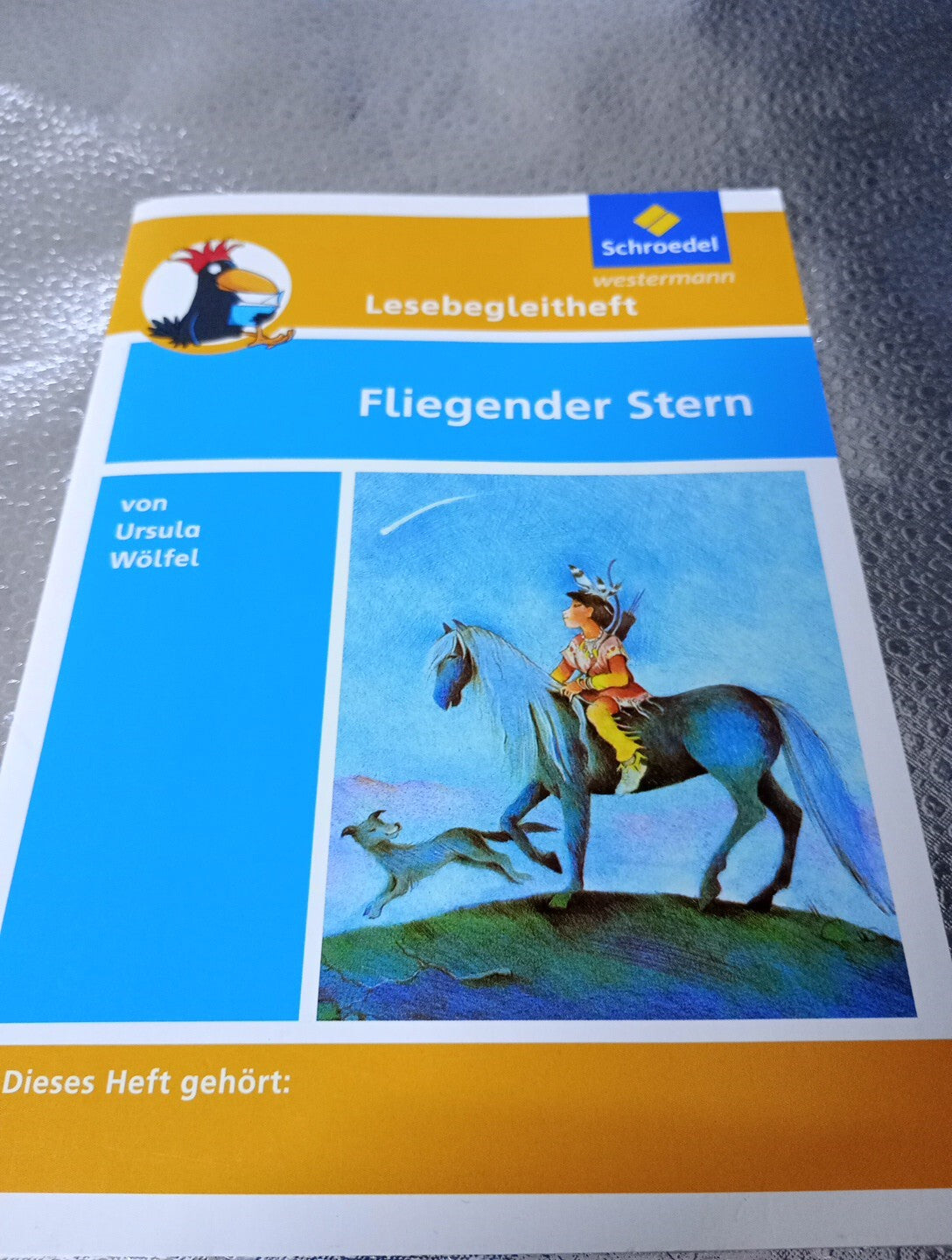 EB77 Lesebegleithefte zu Ihrer Klassenlektüre: Fliegender Stern, sehr gut0