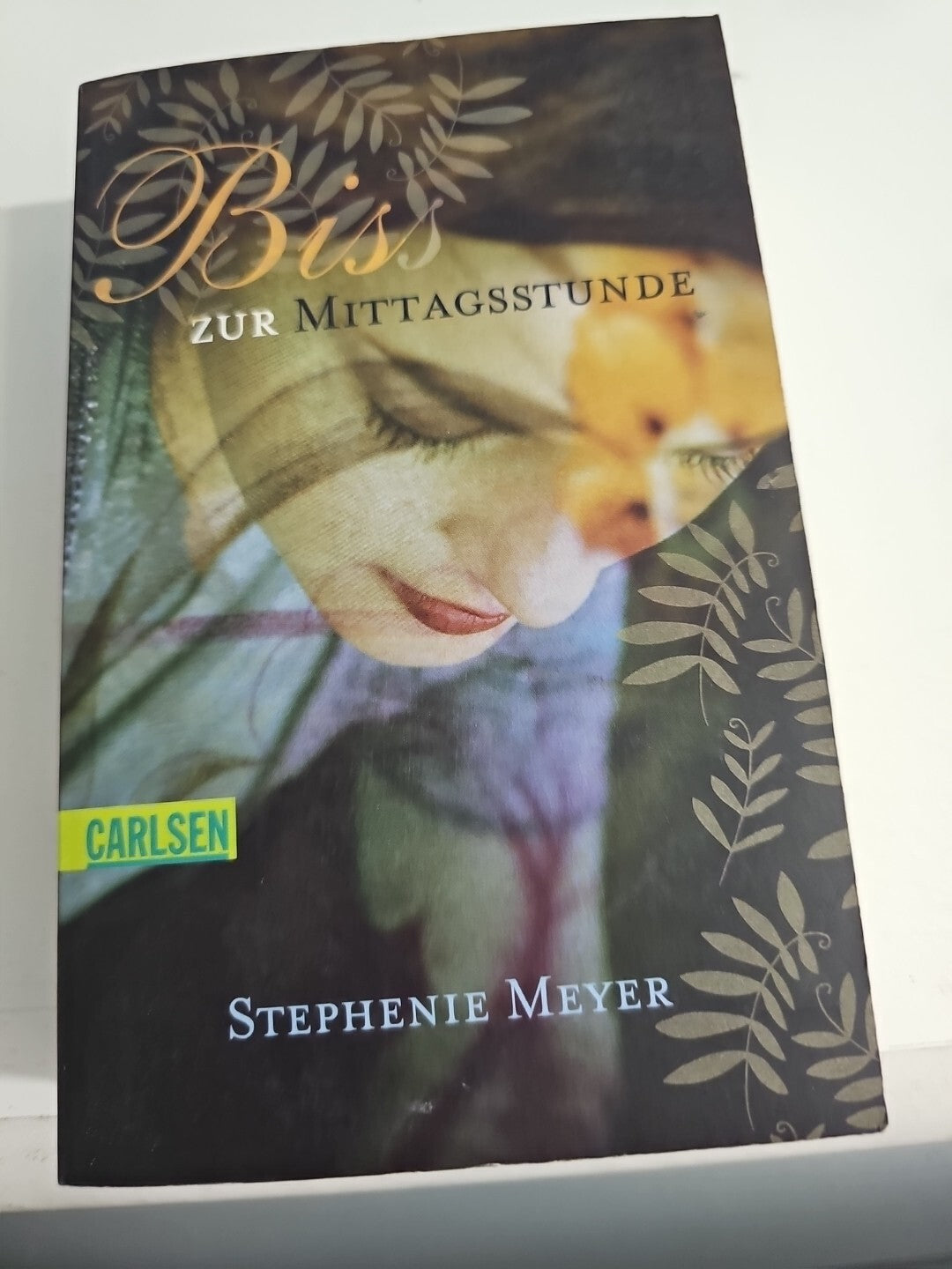 EB 229 (Biss) zur Mittagsstunde von Stephenie Meyer0