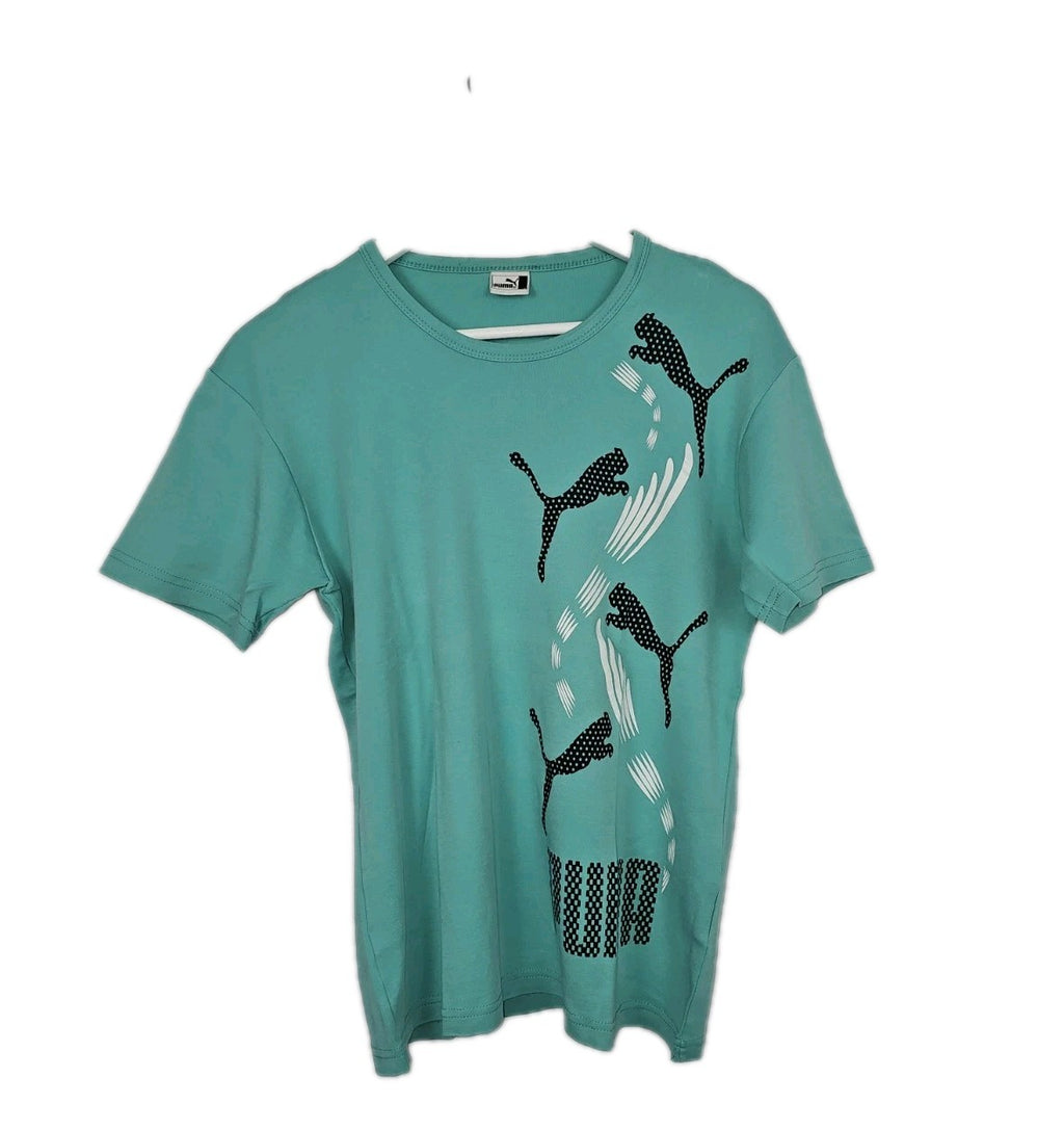 EK11271 Herren Tshirt von Puma, Blau, Gr. L0
