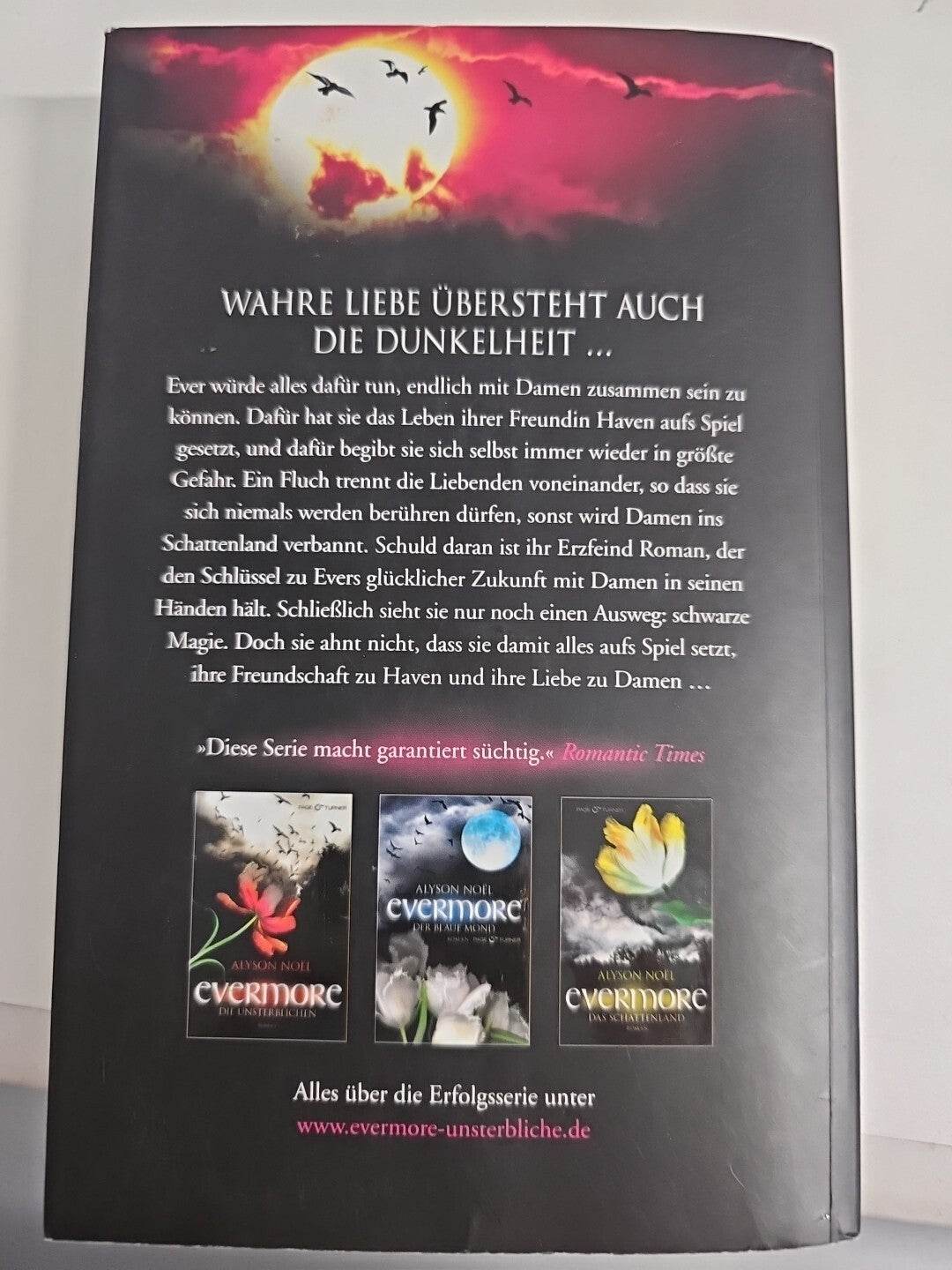EB 552 Evermore, 4: Das dunkle Feuer - Roman von Noël, Alyson  Buch  Zustand gut1