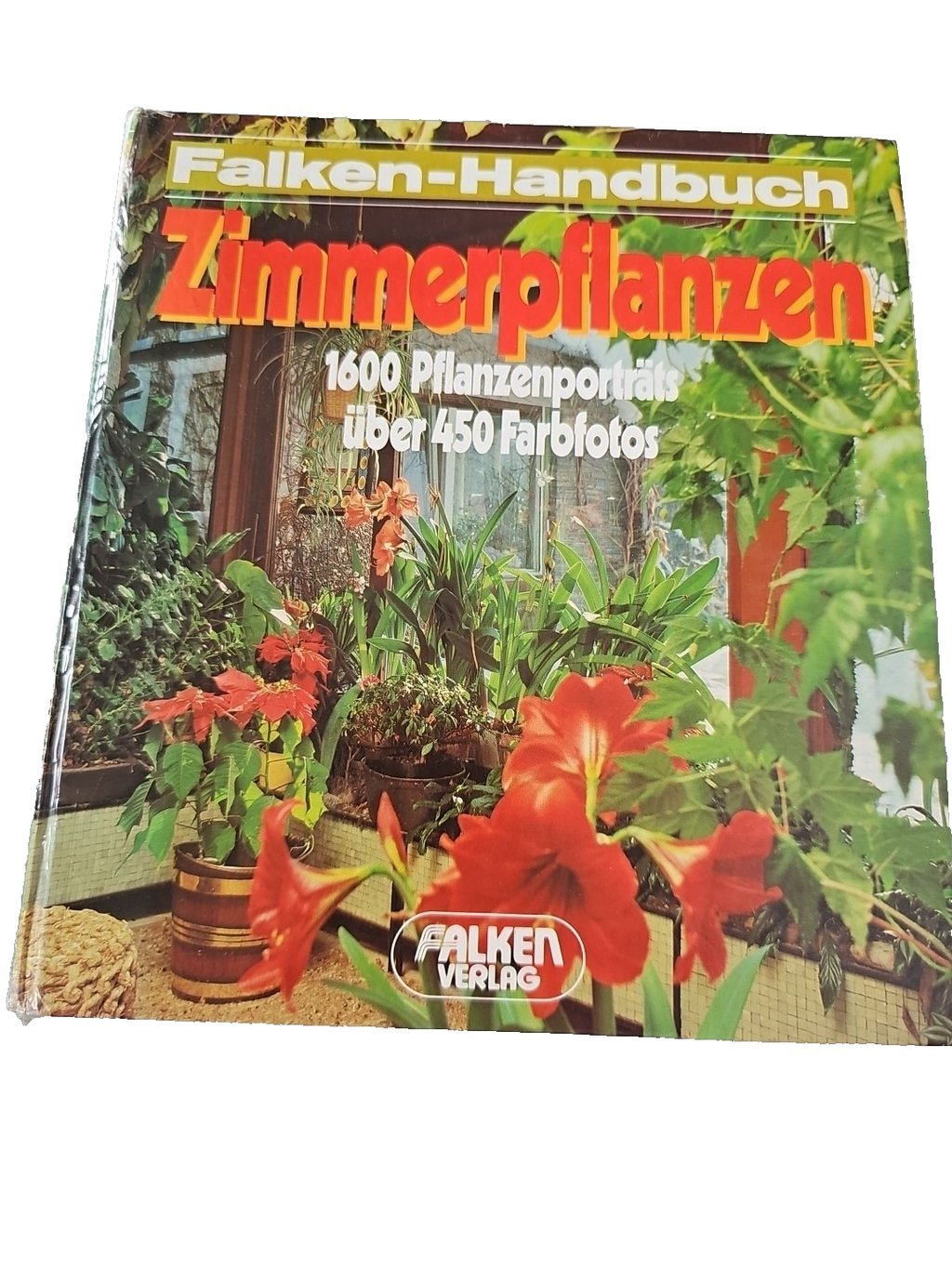 EB3381 Zimmerpflanzen. von Rolf Blaich / Falken-Handbuch Blaich0