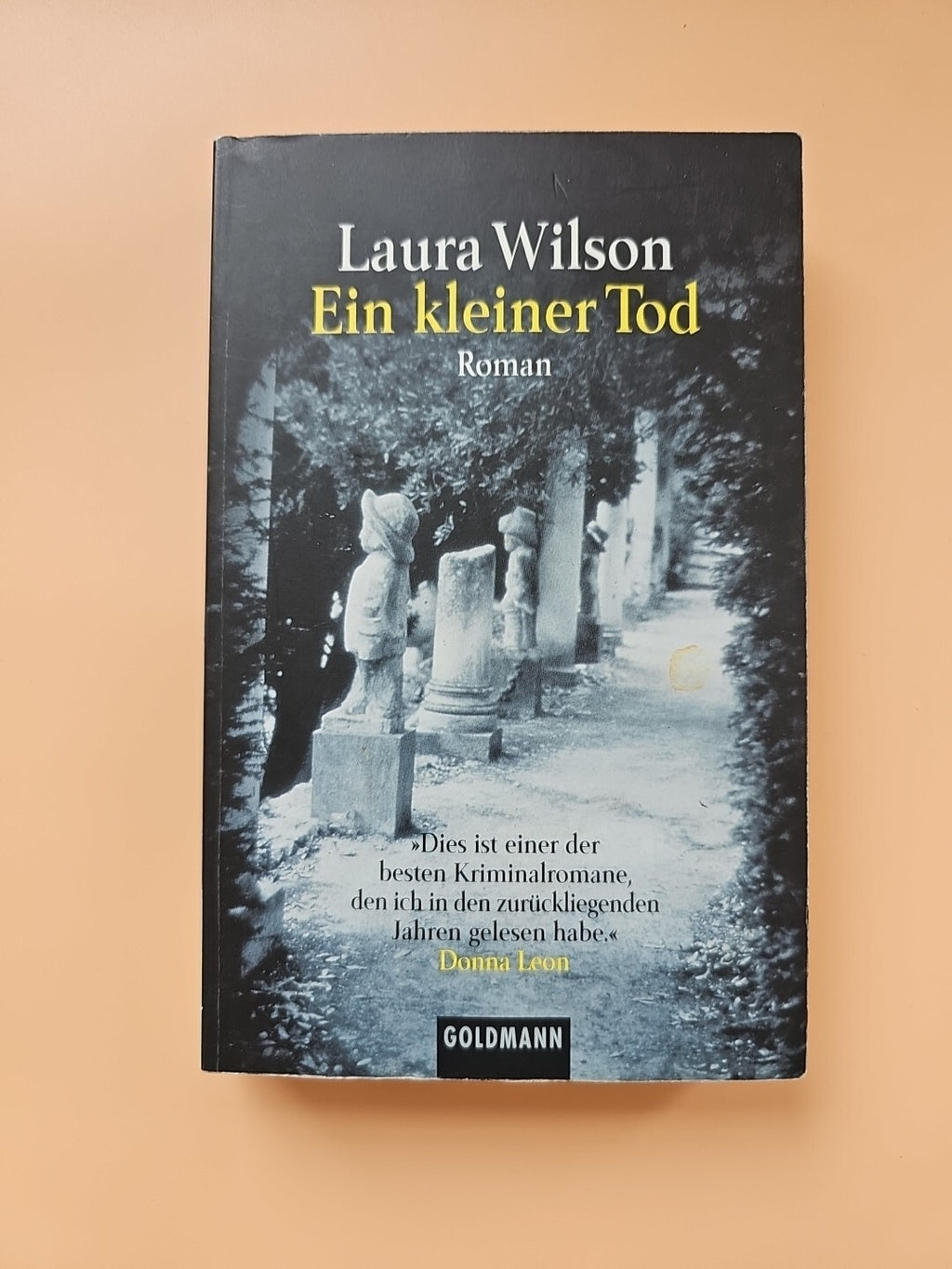 Ein kleiner Tod von Laura Wilson Taschenbuch Goldmann Verlag  1770