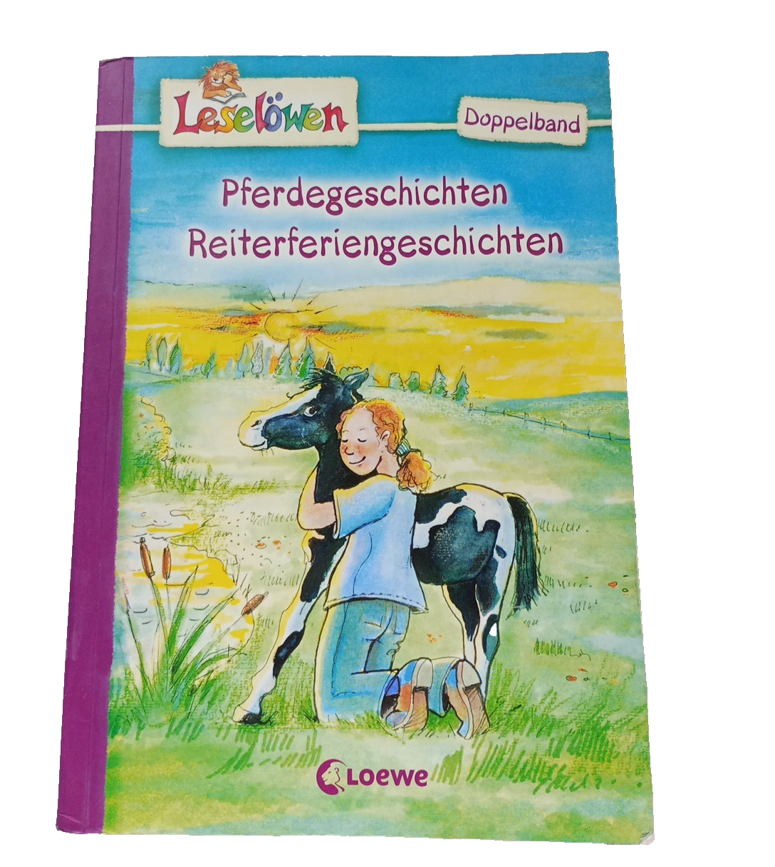 EB3446 Pferdegeschichten Reiterferiengeschichten0