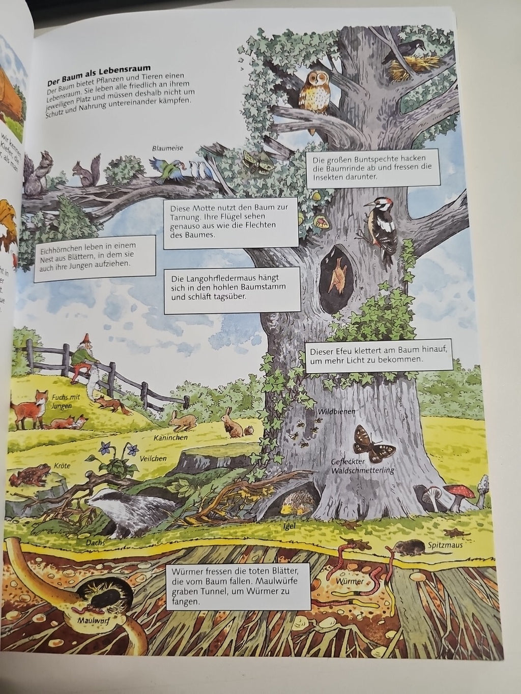 EB1672 Alles über meine Welt von not specified | Buch | Zustand akzeptabel1