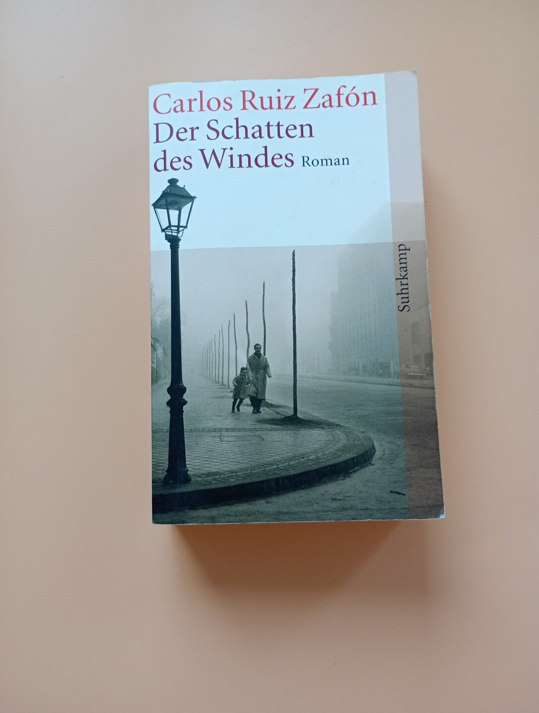 Der Schatten des Windes von Carlos Ruiz Zafón.  4050