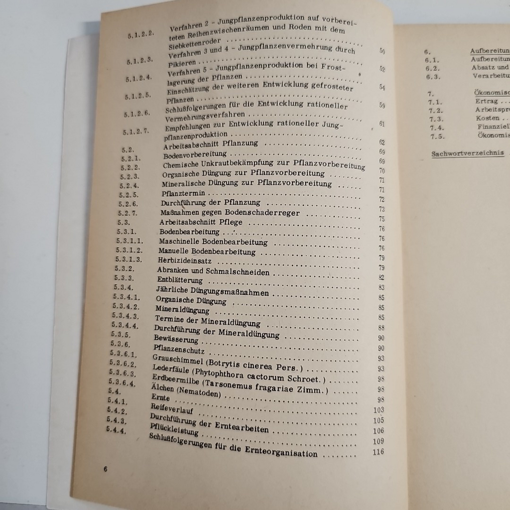 EB2814 Industriemäßige Erdbeerproduktion, Benne2