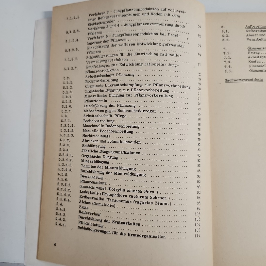 EB2814 Industriemäßige Erdbeerproduktion, Benne2