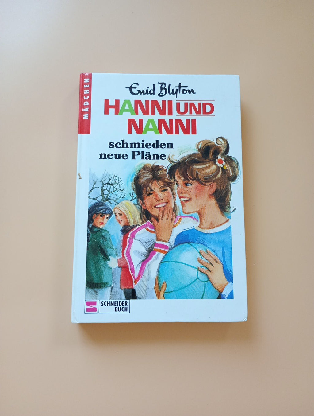 68394 Enid Blyton HANNI UND NANNI SCHMIEDEN NEUE PLÄNE schmieden neue 360 0