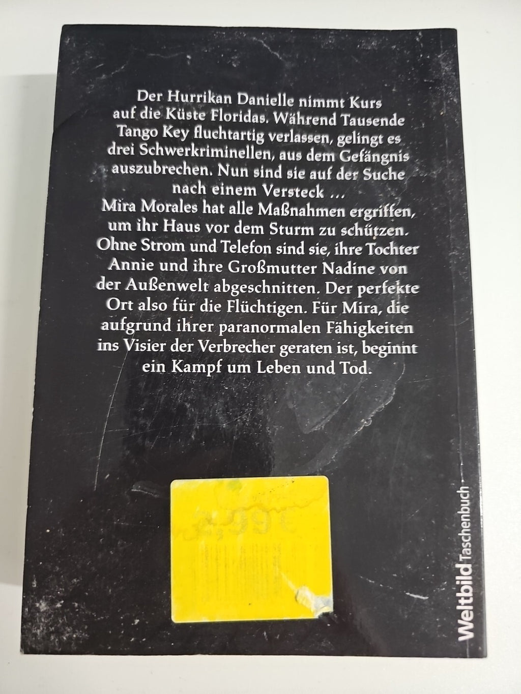 EB676 T. J. MacGregor: Verwüstung         (9783868004397)1