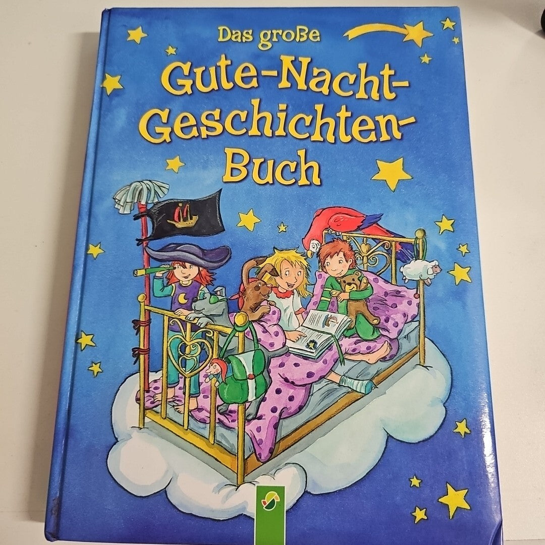 EB2050 Das große Gute-Nacht- Geschichtenbuch0