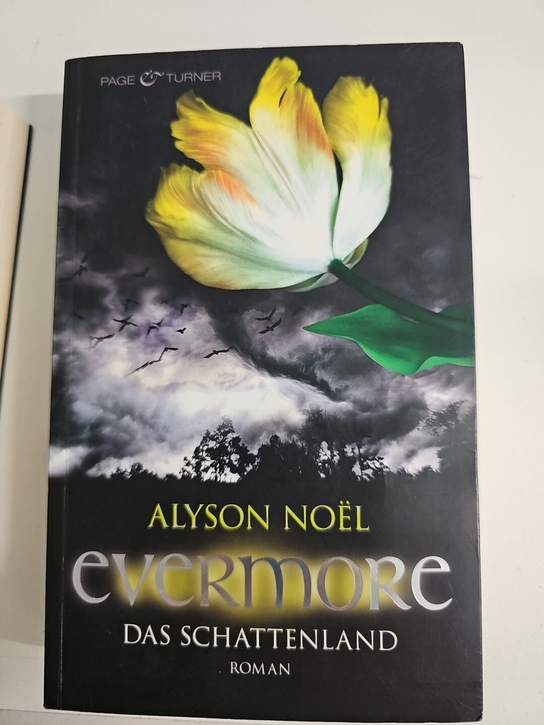 EB 550 Everymore Das Schattenland Alyson Noel0