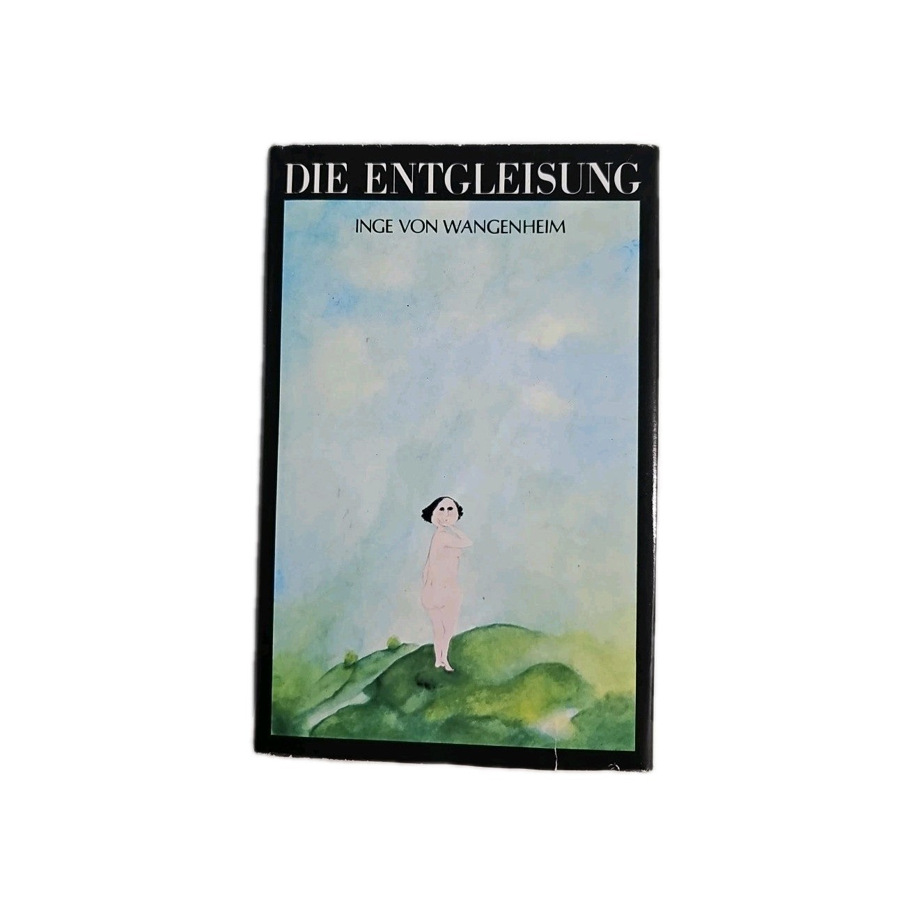 EB4357 Die Entgleisungen Buch0