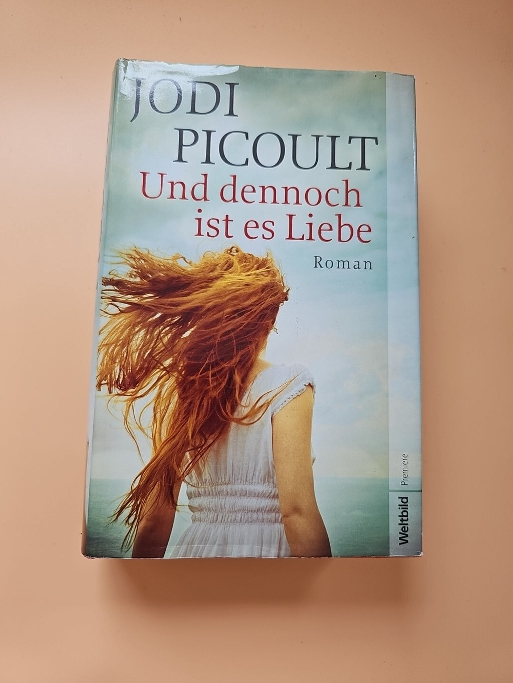 Und dennoch ist es Liebe von Jodi Picoult 1630