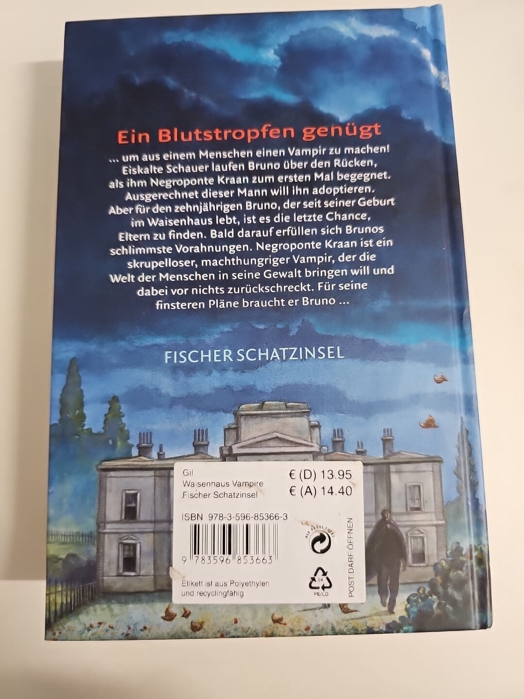 EB725 Das Waisenhaus der Vampire von Rosa Gil (2009, Gebundene Ausgabe)1