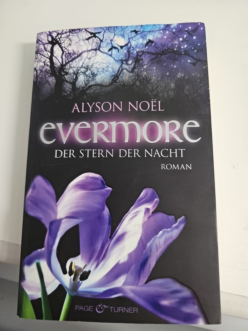 EB553 Evermore 5 - Der Stern der Nacht: Roman von Noël, Alyson  Buch Zustand gut0