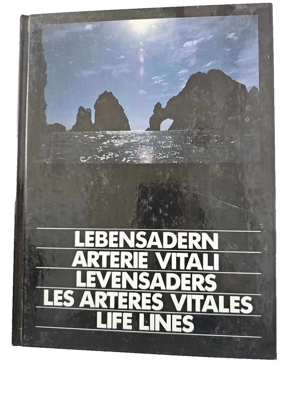 EB3373 Lebensadern Arterie Vitali Levensaders Les Arteres Vitales Life Line0
