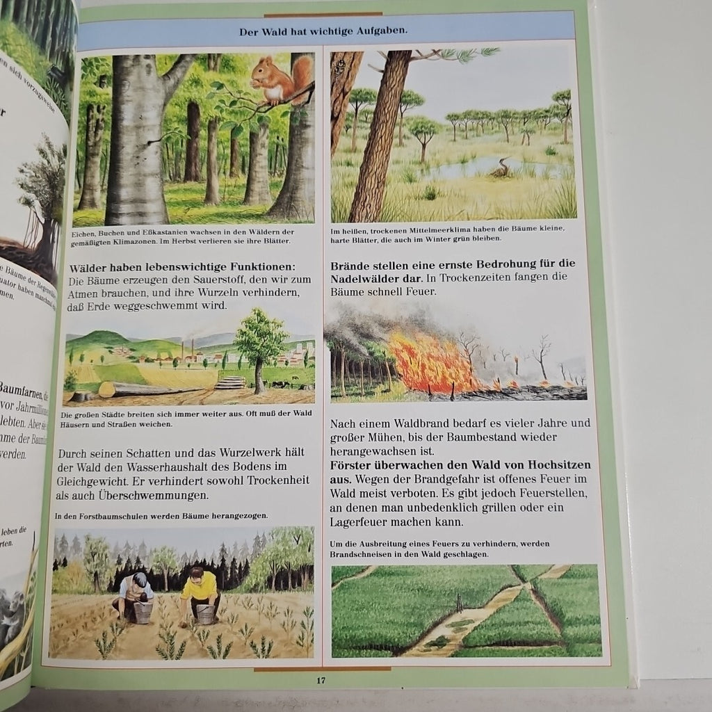 EB1737 Die Natur in der wir leben - Farbiges Wissen - Iréne Kuhn - Ravensburger2