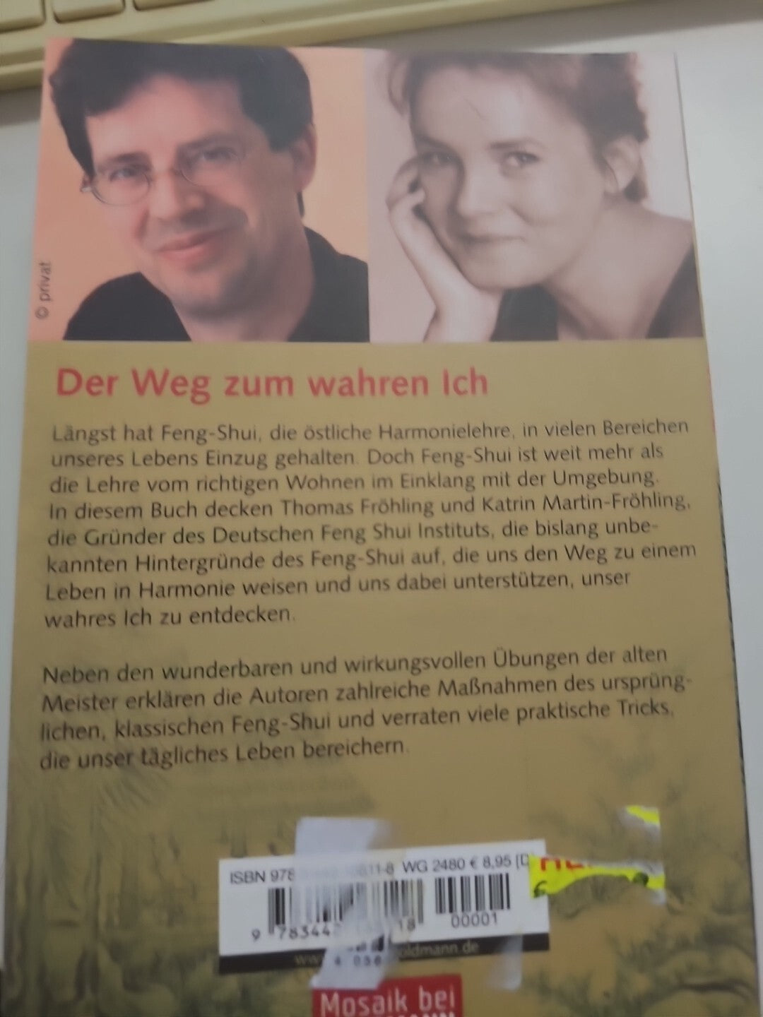 EB 668 Der Feng Shui Meister. Wie wir überall gut wohnen -  Buch | Zustand gut1