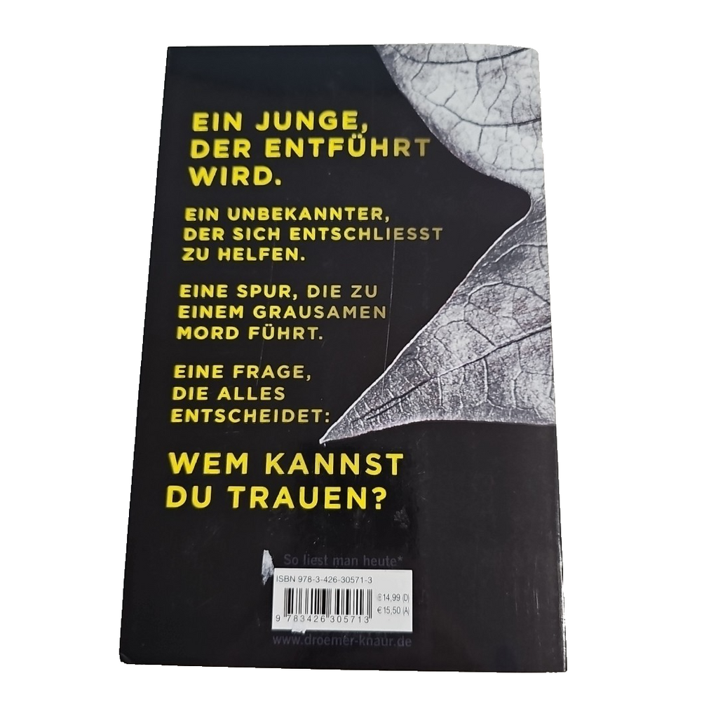 EB3080 Boy in the Park - Wem kannst du trauen? Roman von A.J. Grayson1