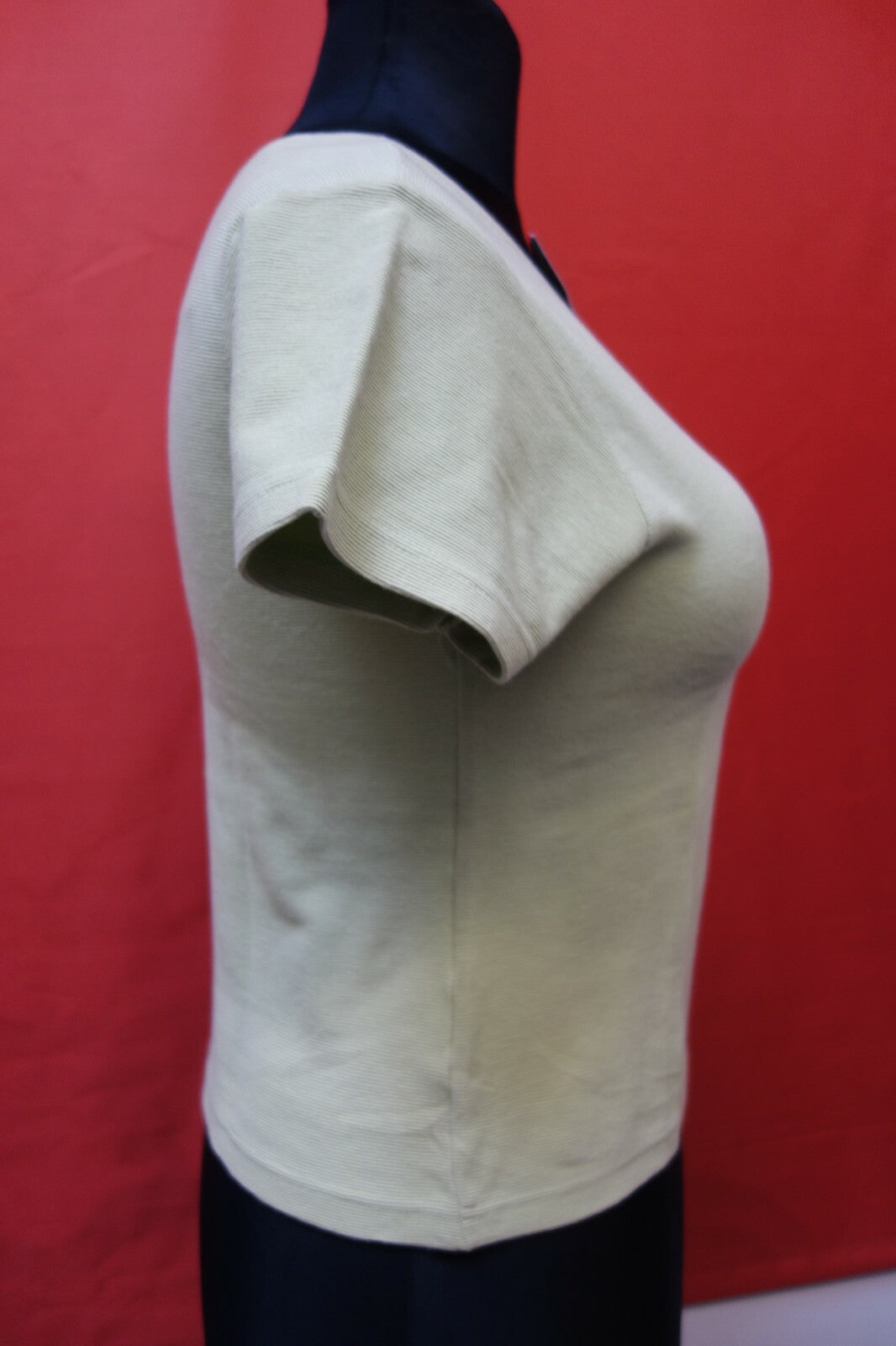 EK0190 Damen T-Shirt von Chiemsee, grün, XL2
