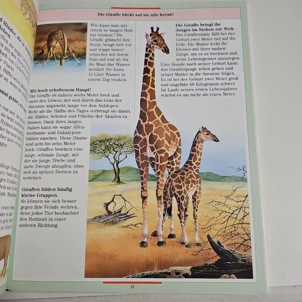 EB1738 Tiere der Wildnis - Farbiges Wissen - Iréne Kuhn - Ravensburger2