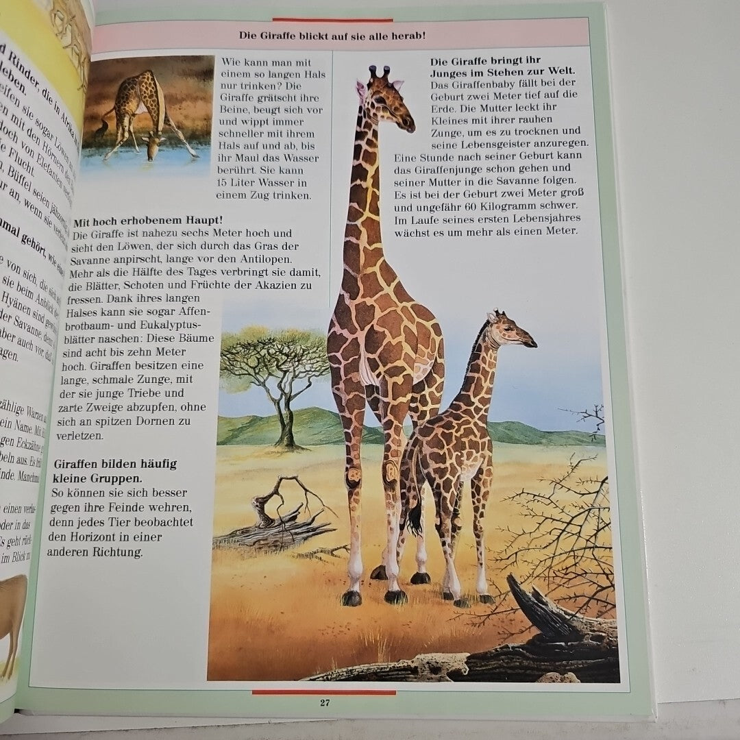 EB1738 Tiere der Wildnis - Farbiges Wissen - Iréne Kuhn - Ravensburger2