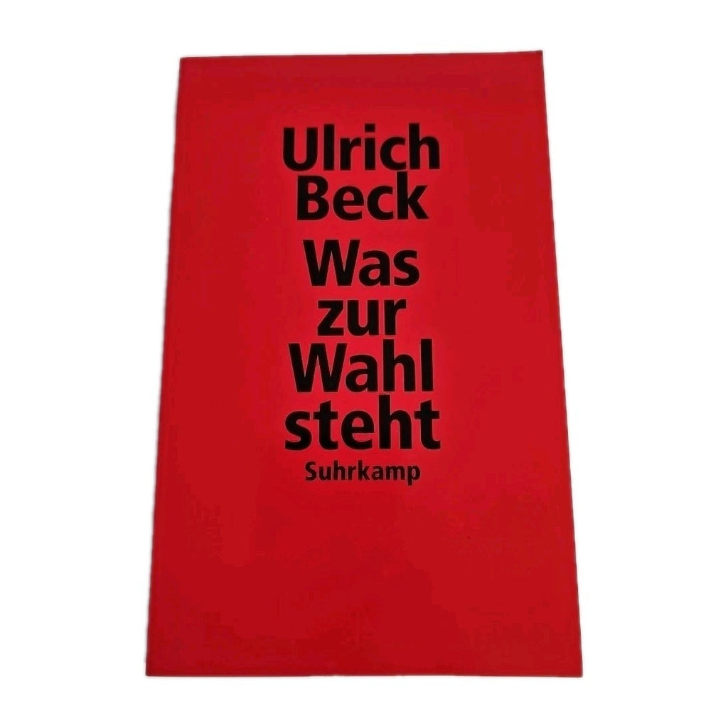 EB4019 Ulrich Beck-  Was zur Wahl steht, Suhrkamp0