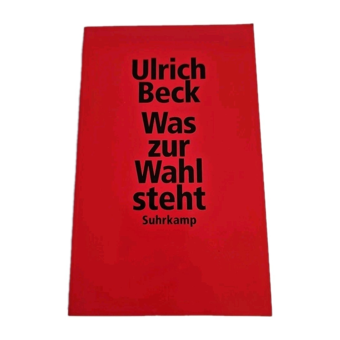 EB4019 Ulrich Beck-  Was zur Wahl steht, Suhrkamp0