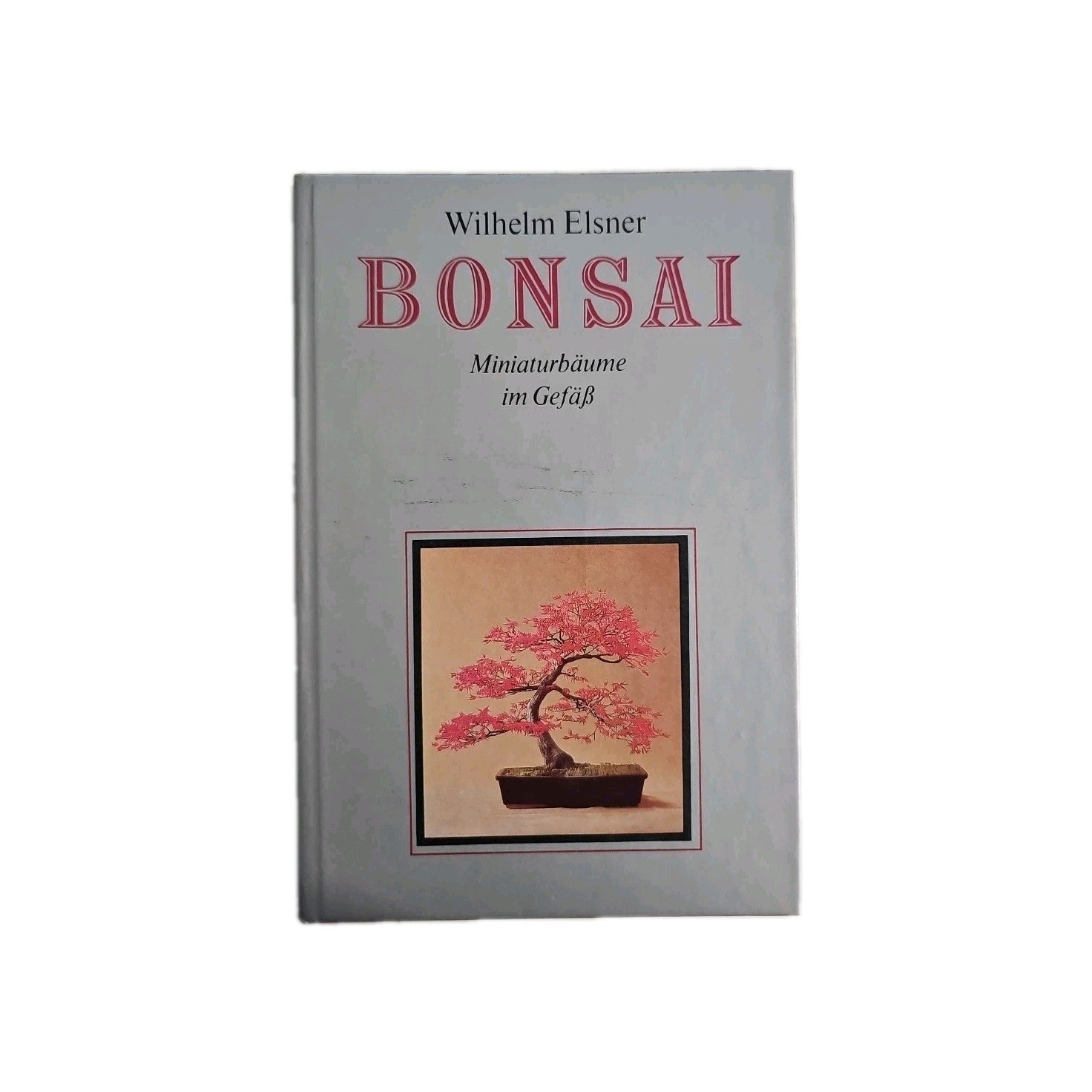 EB4356 Bonsai Miniaturbäume Im Gefäß Buch0