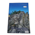 EB2779 Die blauen Steine, Mythos und Wahrheit- Andreas Gerth0